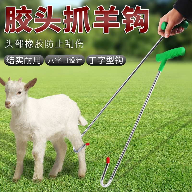 Sheep-catching hooks, magic tools for catching sheep, goat sheep-catching hooks, sheep shears, stainless steel sheep-catching hooks, sheep foot hooks full figure