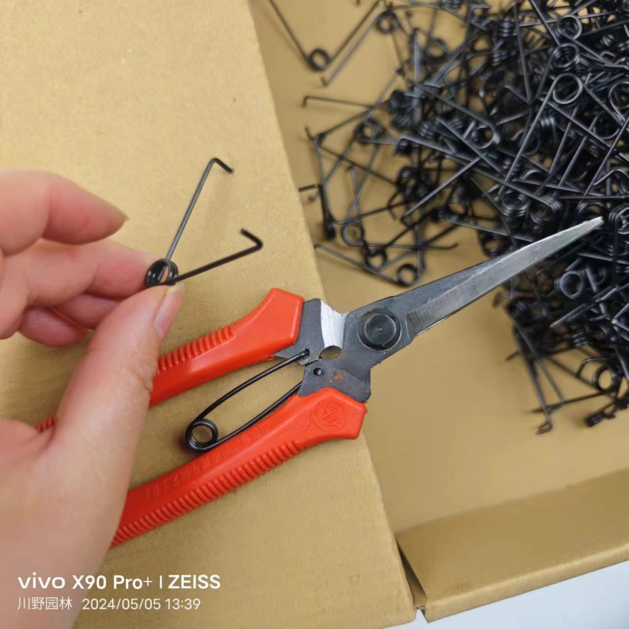 Source supply: iron sheet springs, fruit branch shears, pupa springs, branch shears, spring coils, V-shaped springs, left and right springs, spring accessories details Picture