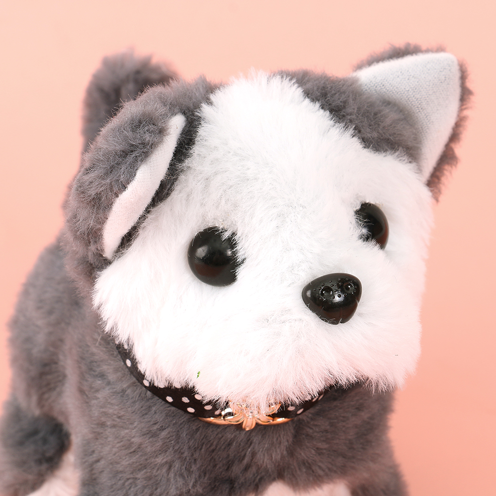 An electric plush dog with a collar, singing while posing, and playing cute while picking up toys for interaction Application Scenario