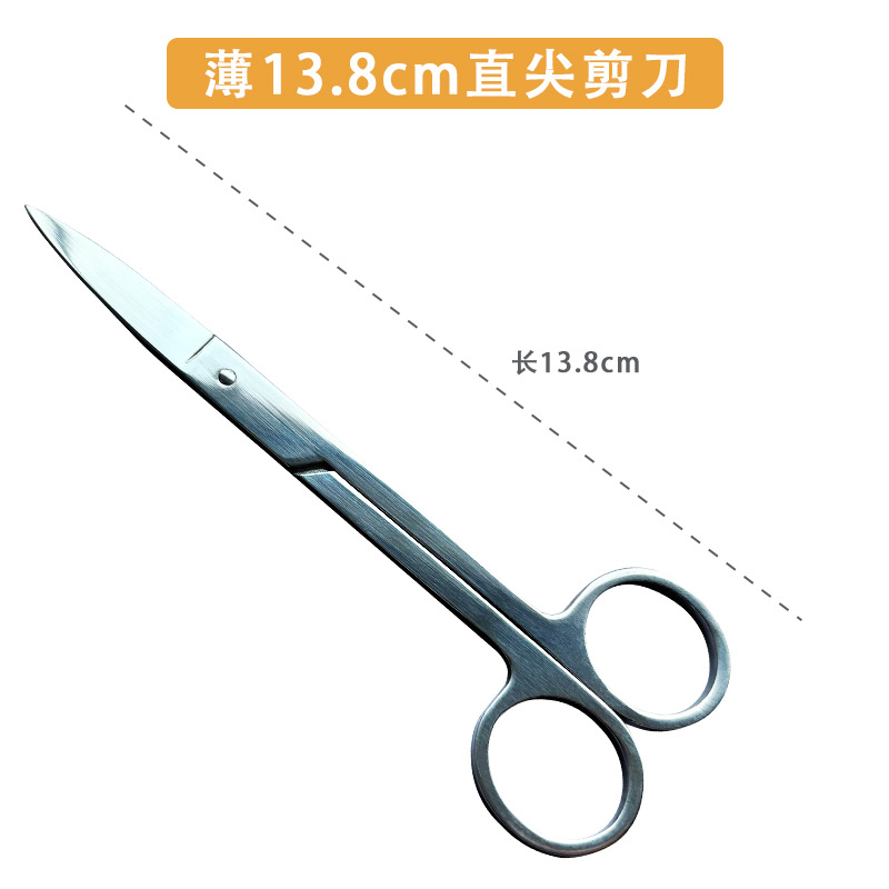 Stainless steel scissors, pet grooming surgery scissors, straight round surgical gauze thread removal scissors, laboratory teaching anatomy scissors undefined