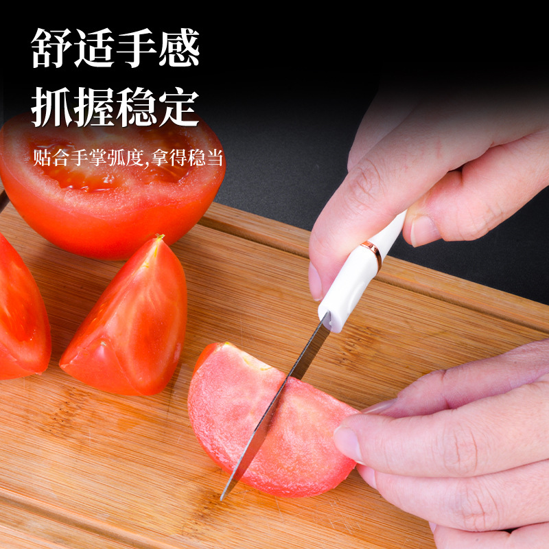 Six-piece set of stainless steel knives, portable household multi-functional knives, outdoor camping stainless steel fruit knives Application Scenario