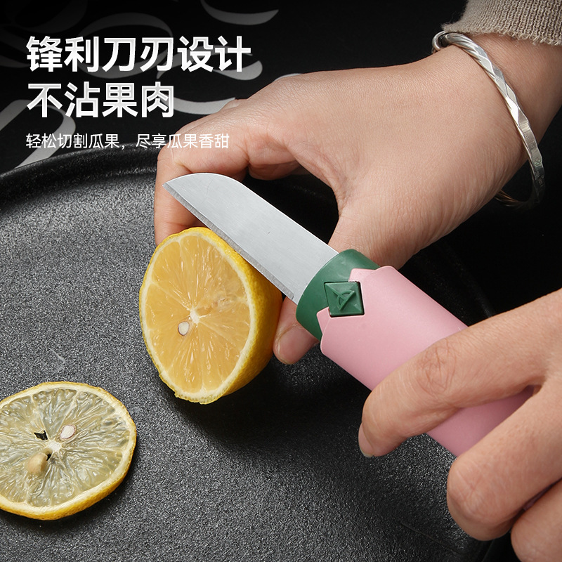 Wholesale of household fruit peelers, dual-purpose portable peelers, multi-functional small knives, kitchen peelers, and stainless steel fruit peel knives details Picture