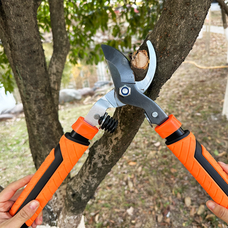 Garden scissors, labor-saving large scissors, powerful garden scissors, strong telescopic high branch pruning scissors, branch pruning scissors, thick branch pruning fruit trees Specification drawing