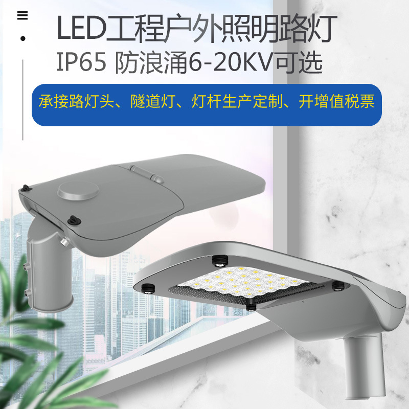 LED foreign trade project model street lamp head die-cast one-piece shell with power-off switch lightning protection 6-20KV municipal power street lamp full figure