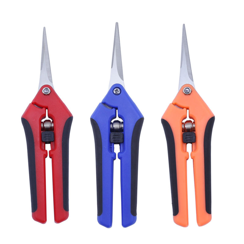 Wholesale stainless steel flower branch scissors, pruning shears, straight head garden tools, grape and vegetable shears, garden scissors manufacturer Application Scenario