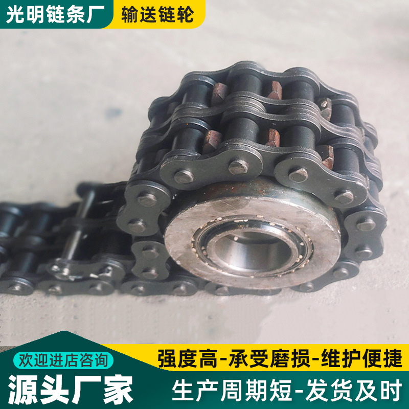 Double-row sprocket mixer chain sprocket bearing sprocket transmission chain mechanical parts complete set stainless steel sprocket full figure