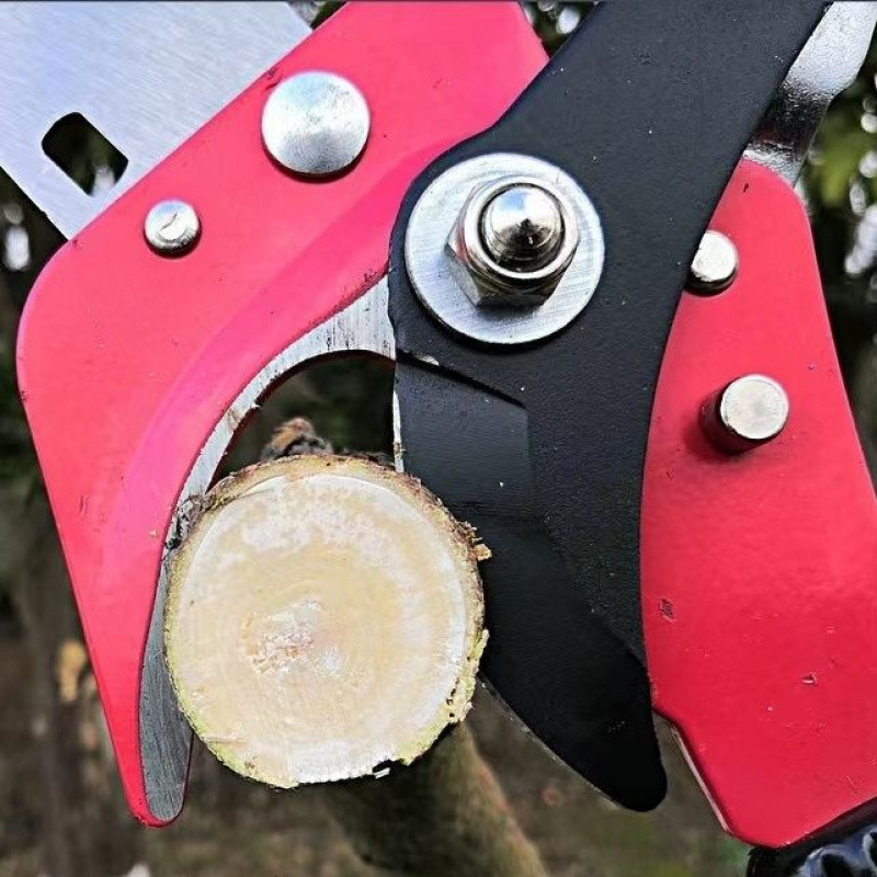 New imported high-branch pruning shears, garden telescopic high-altitude pruning shears, branch pruning shears, fruit tree branch long pole saws, and height-increasing pruning shears Application Scenario