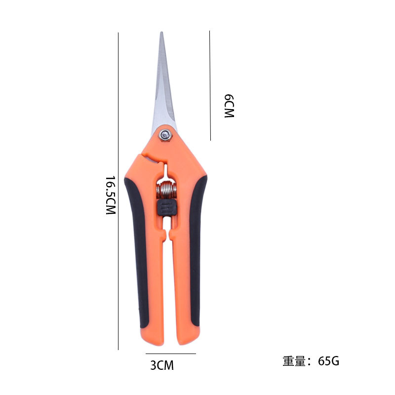 Wholesale stainless steel flower branch scissors, pruning shears, straight head garden tools, grape and vegetable shears, garden scissors manufacturer Specification drawing