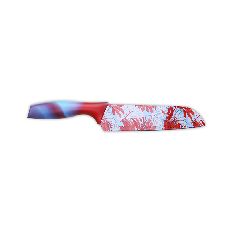 Printed small kitchen knife, household stainless steel chef knife, kitchen-specific cooking knife, ladies' special complementary food chef knife Item Picture
