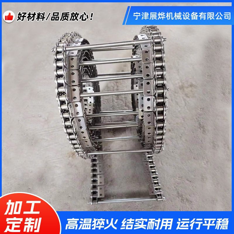 Stainless steel support shaft chain through rod chain, fruit and vegetable cleaning quail egg transportation production line, non-standard roller type support shaft chain Application Scenario