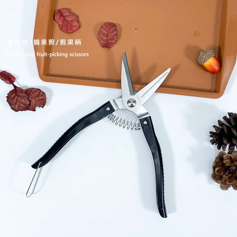 Luoding stainless steel fruit-picking shears, citrus shears, garden pruning shears, extra-large round-head fruit-picking shears, pepper fruit shears Specification drawing
