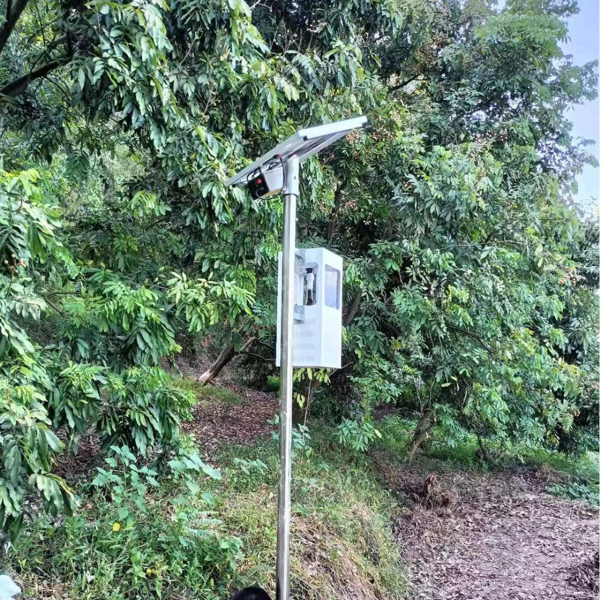 Internet of Things wind-suction solar insecticidal lamp, outdoor agricultural mosquito-killing lamp, orchard breeding light-controlled moth and mosquito-killing lamp Specification drawing