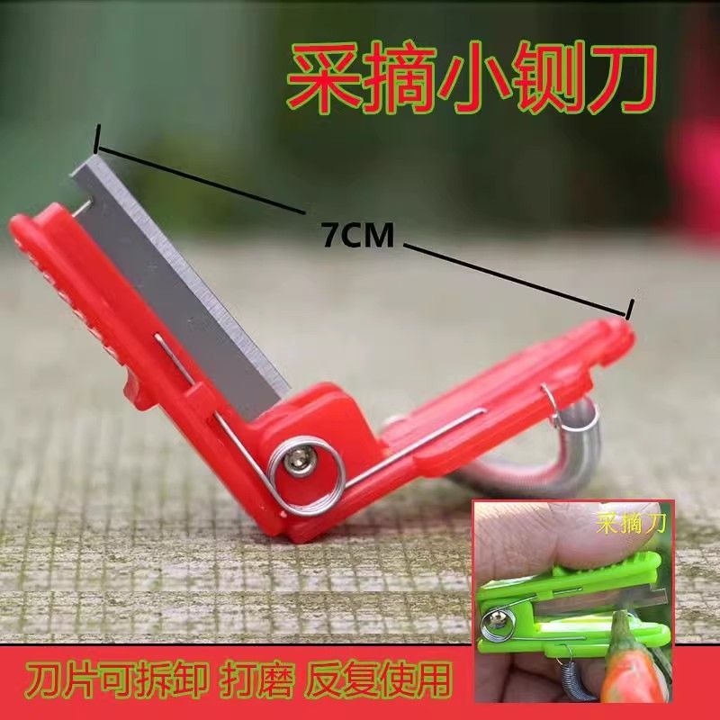 The small guillotine hand ring vegetable picker is a divine tool for picking vegetables and fruits, cucumbers, peppers, beans, and grapes. Pinch the tips, prune the branches, and remove the leaves Application Scenario