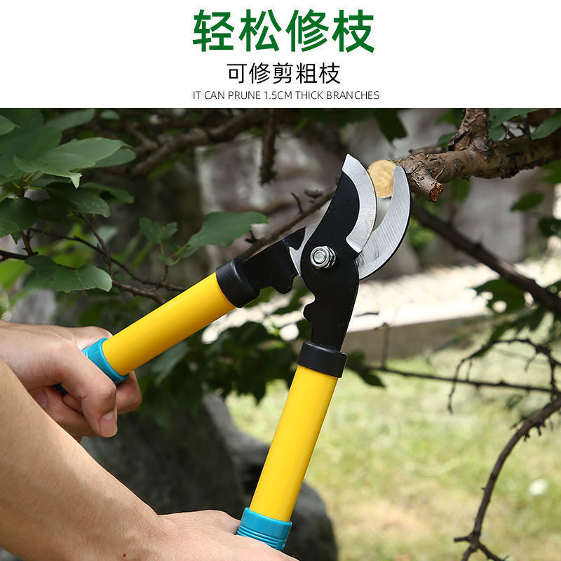 Fruit tree branch pruning scissors, flower pruning tools, gardening labor-saving tools for pruning thick and tall branches, flower pruning scissors, fruit picking scissors, a magic tool Application Scenario