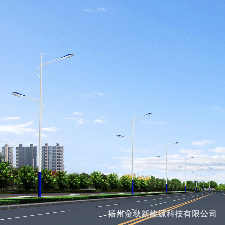 Wholesale 10-meter double-arm street lamps, hot-dip galvanized 6-meter, 8-meter and 12-meter street lamp poles, 100wled city power street lamps for highways Item Picture
