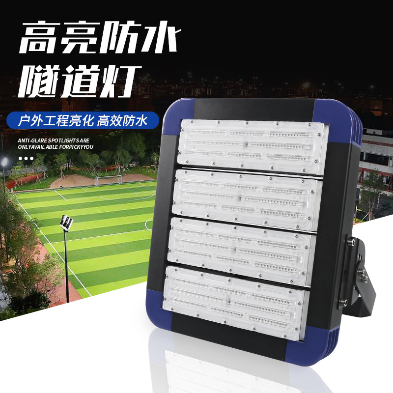 Wholesale LED module tunnel lights, outdoor high-pole road and stadium lights, 250W high-power floodlights from the manufacturer full figure