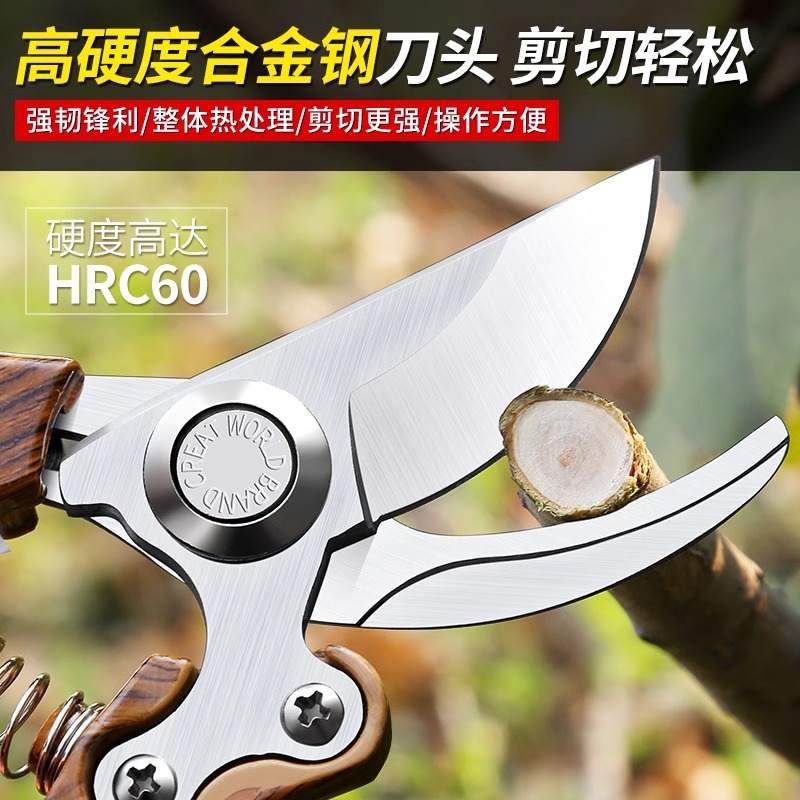 Garden pruning shears, garden greening pruning fruit tree shears, flower shears, floral art thick branch shears tools Specification drawing