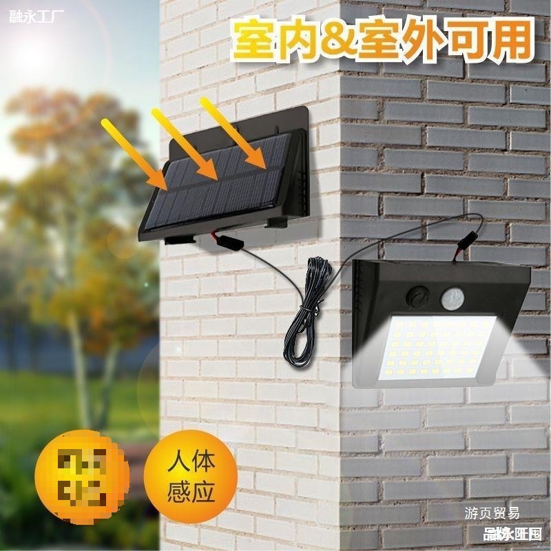 Split-type solar lamp, household indoor and outdoor garden lamp, fully automatic human body sensor lamp, waterproof LE Leide plant details Picture