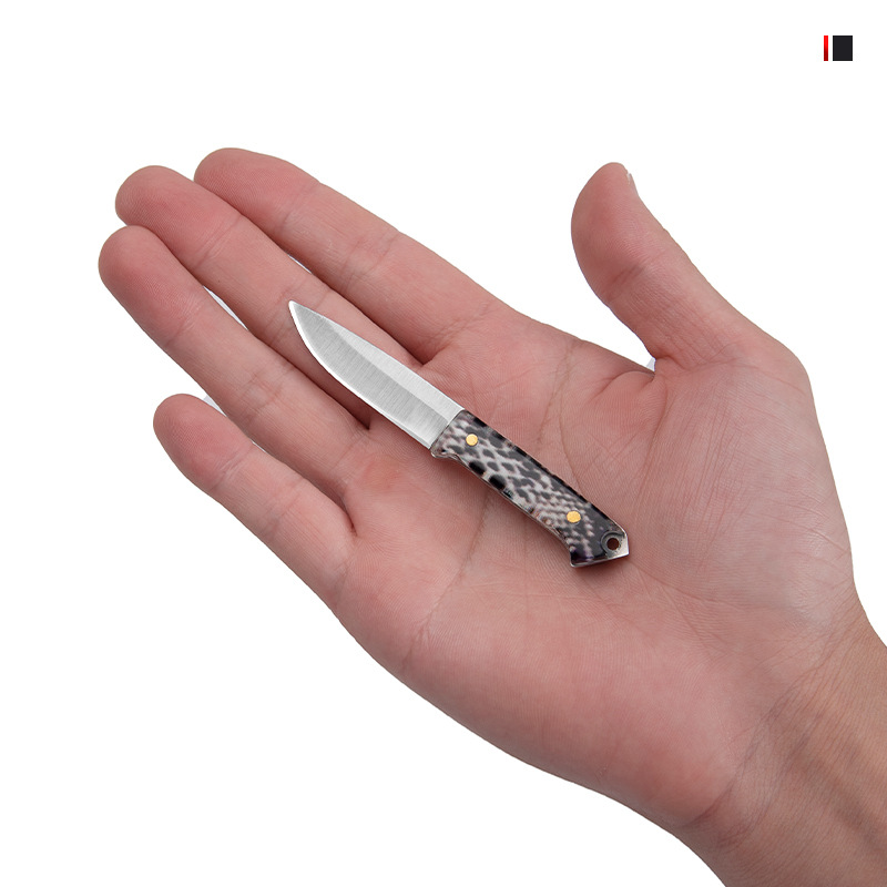 Outdoor self-defense knife, exquisite small straight knife, creative fruit knife, pocket knife, portable stainless steel mini knife, necklace knife Item Picture