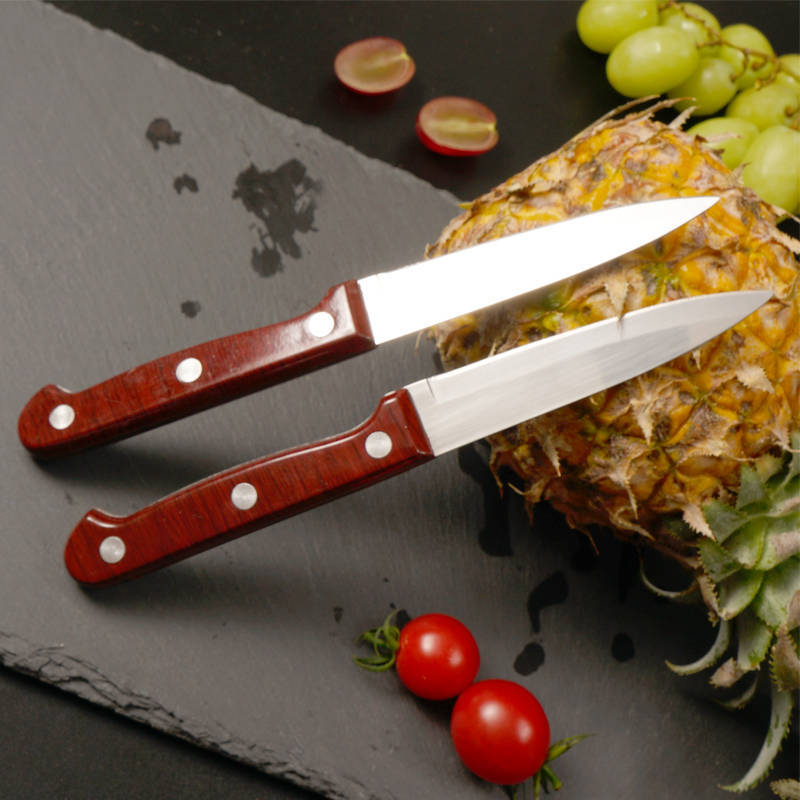 Wood-grain covered handle kitchenware, multi-functional household vegetable slicer, portable dormitory small tools, peeler knife, thickened fruit knife Application Scenario