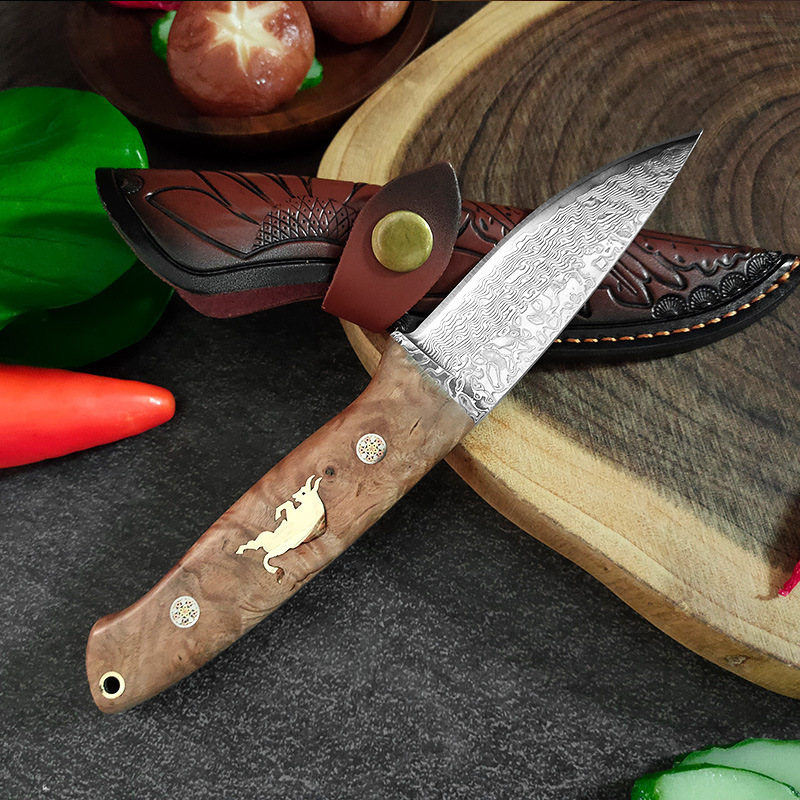 Outdoor Damascus steel multi-purpose knife, pocket fruit knife for camping in the wild, portable camping knife, sharp handle meat knife details Picture