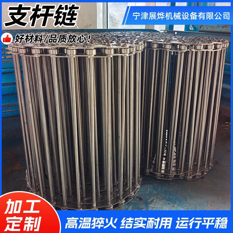 Stainless steel support shaft chain through rod chain, fruit and vegetable cleaning quail egg transportation production line, non-standard roller type support shaft chain full figure