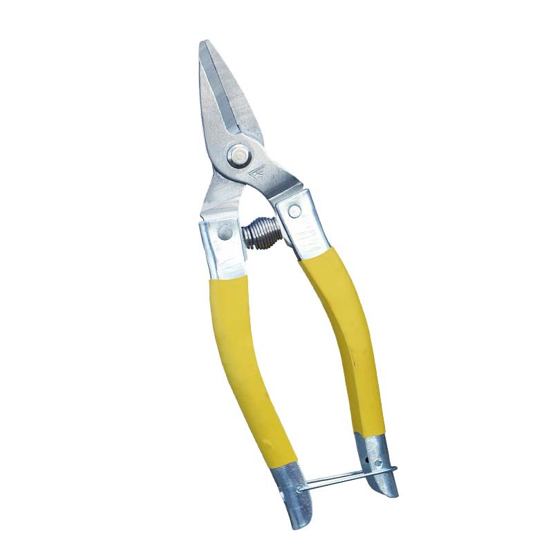 Round head medium-sized scissors, stainless steel fruit and vegetable scissors, fruit picking scissors, new style of stainless steel fruit and citrus fruit scissors Item Picture