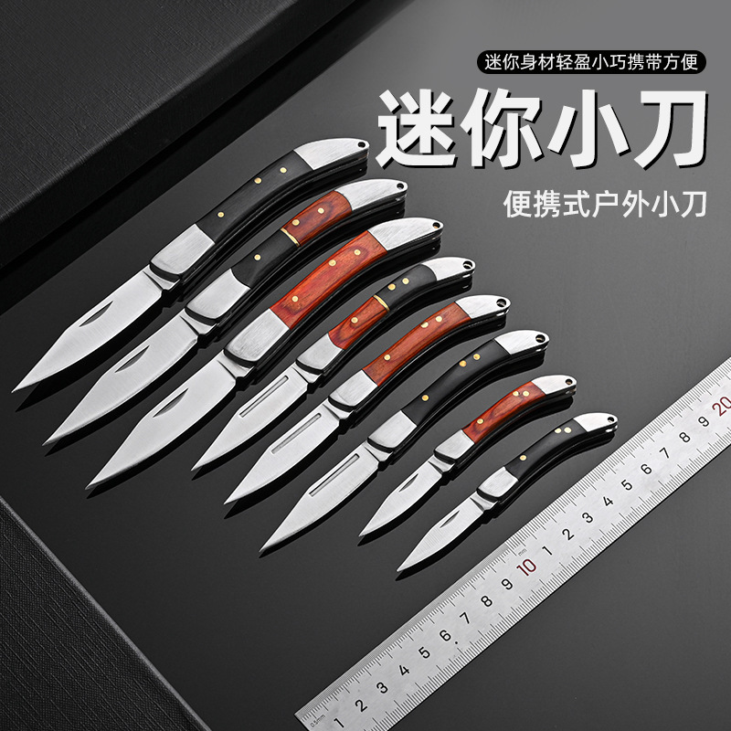 Folding knife, outdoor mini portable stainless steel high-hardness small knife, sharp household fruit knife, camping hardware tools full figure