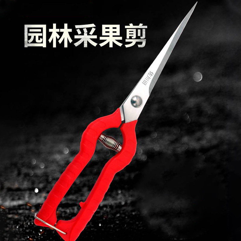 # Gardening Scissors, Flower and Tree Pruning Scissors, Household flower pruning scissors, Fruit Tree Pruning scissors, Flower succulent bud Leaf pruning workers full figure