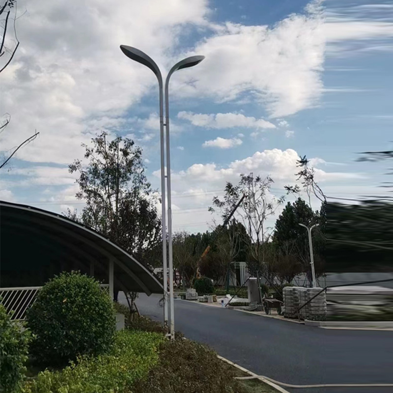 Outdoor double-arm street lamps for city power supply, 10m, 8m, 6m, hot-dip galvanized street lamp poles, 100WLED for highways, direct delivery from the manufacturer Application Scenario
