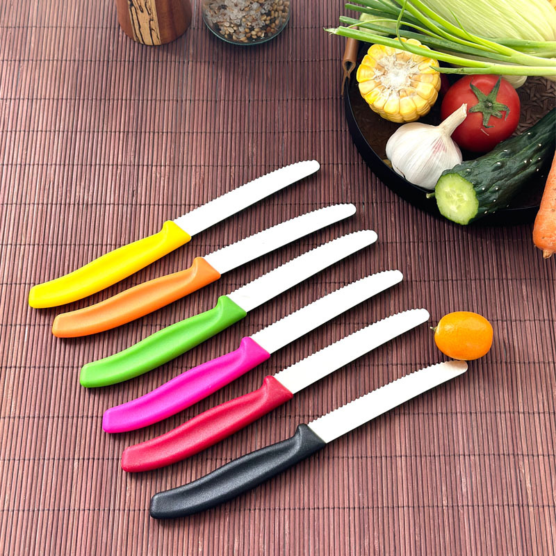 Exclusive Amazon cross-border steak knife, dessert knife, fruit knife, tomato knife, beveled grinding and cutting edge, sharp and durable full figure