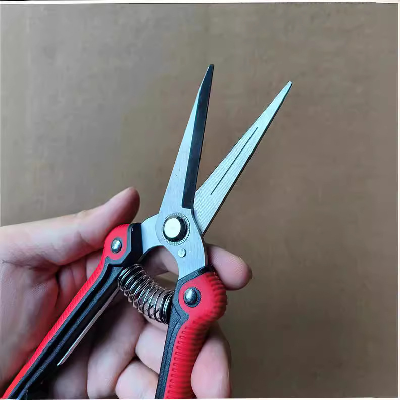Cross-border flower and fruit thinning shears, fruit picking shears, powerful pear tree shears, stainless steel branch shears, fruit tree shears, new style pruning shears Specification drawing