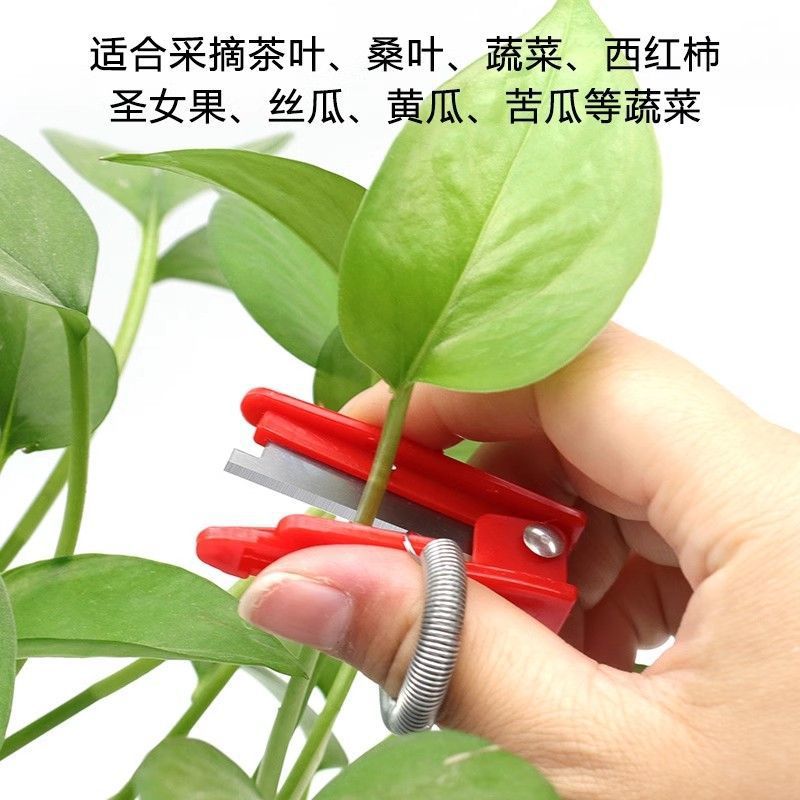 Cucumber and green bean finger picking magic tool, ring knife picking tool, small guillotine knife, chili and grape pinching, pinching the tips to pick fruits details Picture