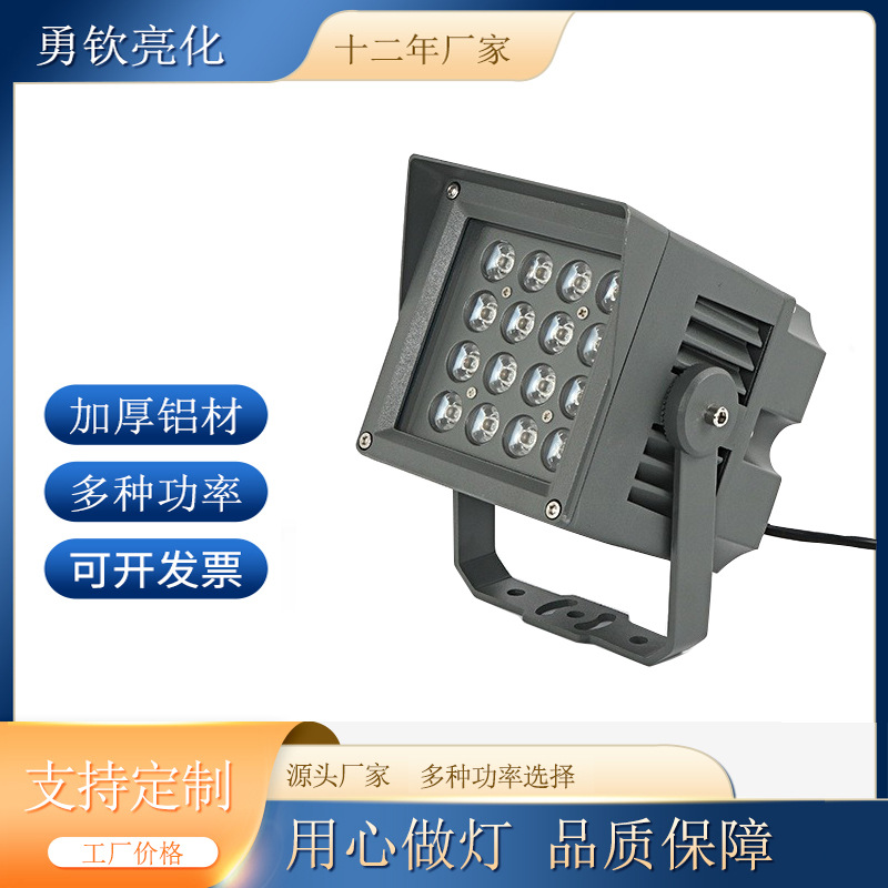 The 48W square floodlight with a focused strip edge cap for tree illumination and garden spotlights illuminate outdoor landscape lawns full figure