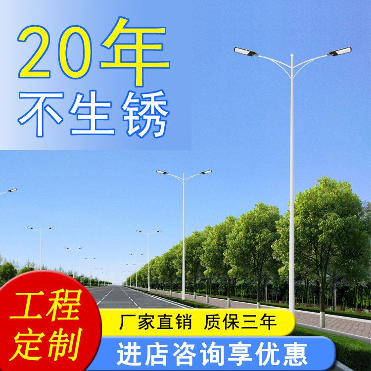 Wholesale 10-meter double-arm street lamps, hot-dip galvanized 6-meter, 8-meter and 12-meter street lamp poles, 100wled city power street lamps for highways full figure