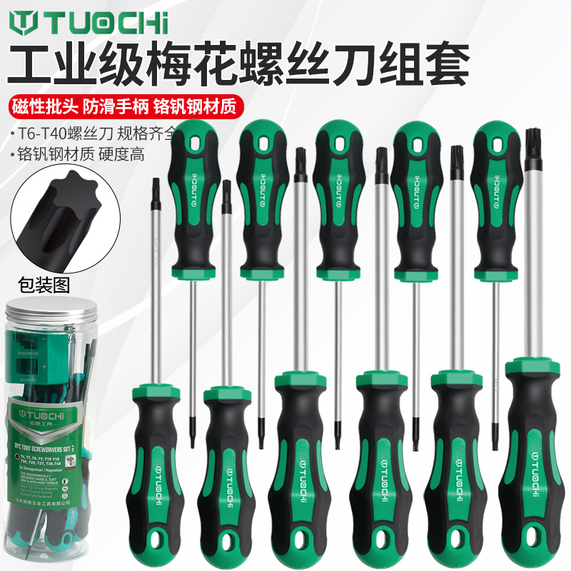 t20 screwdriver with hexagonal socket, t15 cross-shaped socket, t30 tool, T10, T25, t8 full figure