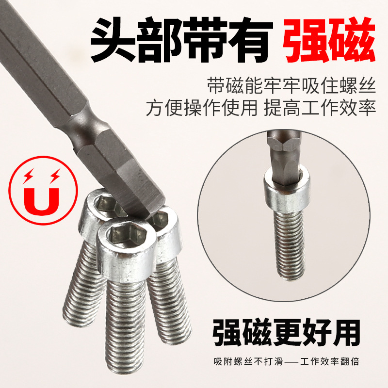 Double-head hexagon socket screwdriver with magnetic tip, 65mm/100mm in length, pneumatic screwdriver, electric screwdriver head details Picture