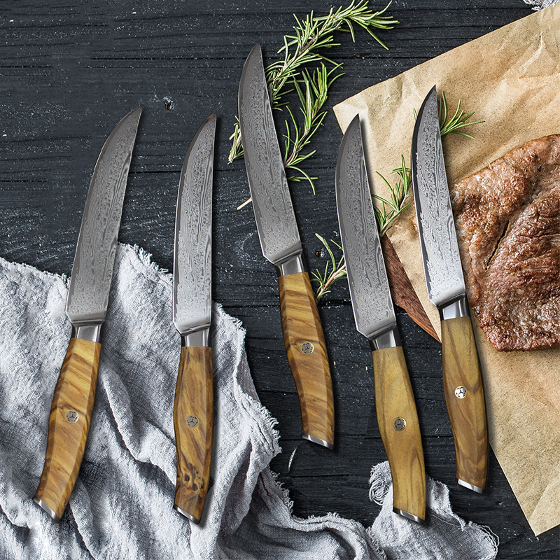 Yangjiang stainless steel steak knife, chef's Western cuisine meat slicer, 73-layer Damascus AUS10 steak knife, dinner knife details Picture