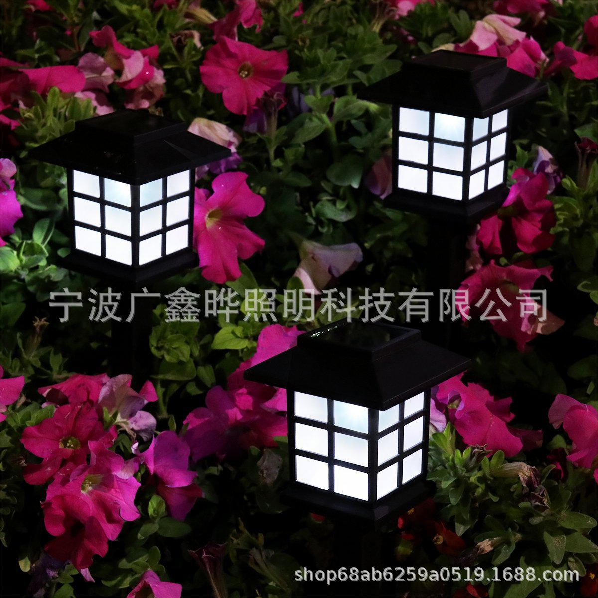 Cross-border supply of solar lawn lights, grassland atmosphere lights, villa garden landscape lights, and outdoor courtyard lighting fixtures details Picture