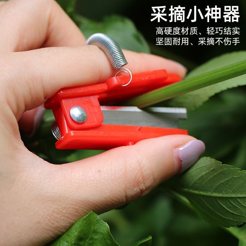 Small guillotine thumb knife for picking grapes, cucumbers, vegetables, leaves and roots, small guillotine picking knife Specification drawing