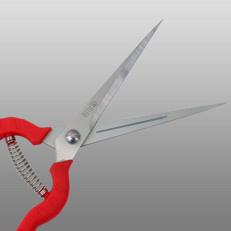 # Gardening Scissors, Flower and Tree Pruning Scissors, Household flower pruning scissors, Fruit Tree Pruning scissors, Flower succulent bud Leaf pruning workers details Picture