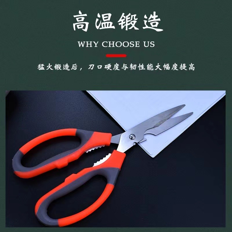 Stainless steel scissors, multi-purpose for cutting fruits and vegetables, home grilling, flowers, tailoring, opening bottle caps, picking walnuts, wholesale details Picture