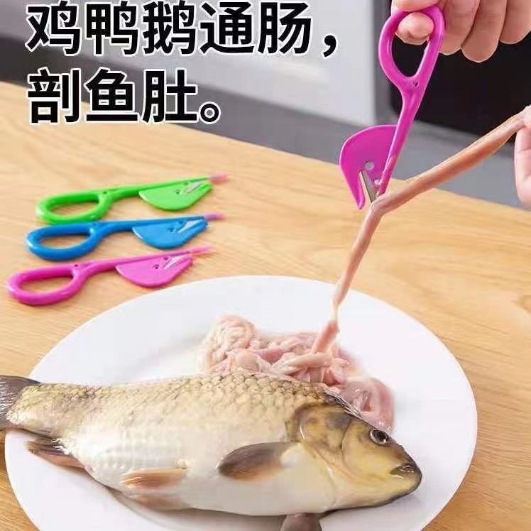 Chicken intestine knife for opening chicken intestines, duck intestine knife for breaking intestines, professional chicken intestine cleaning tool, poultry intestine cleaning tool for turning chicken intestines Specification drawing