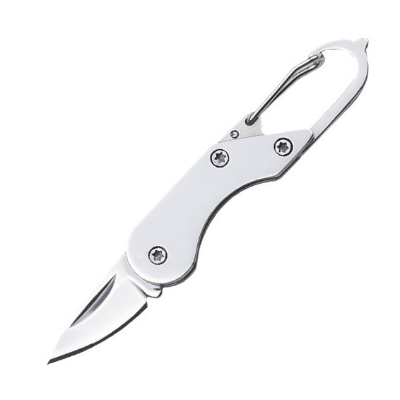 Stainless steel mini portable knife, all-steel outdoor lightweight and portable folding knife, express delivery opening knife, creative keychain Item Picture