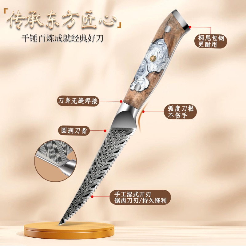 Factory direct supply 67th floor Damascus steel hotel Western cuisine steak knife kitchen fruit knife VG10 steak knife sharp details Picture