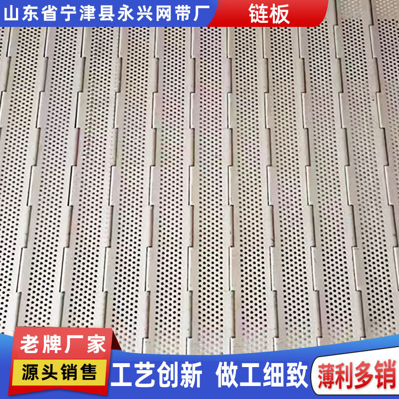 Stainless steel chain plate, food cleaning and drying, perforated chain plate, industrial ore, scrap iron, heavy-duty carbon steel chain plate conveyor belt Application Scenario