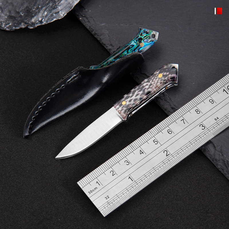 Outdoor self-defense knife, exquisite small straight knife, creative fruit knife, pocket knife, portable stainless steel mini knife, necklace knife Specification drawing