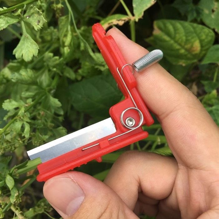 The small guillotine hand ring vegetable picker is a divine tool for picking vegetables and fruits, cucumbers, peppers, beans, and grapes. Pinch the tips, prune the branches, and remove the leaves details Picture