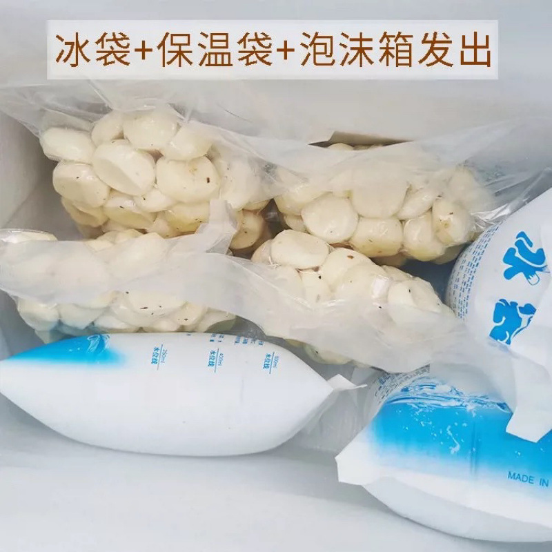 The peeled water chestnuts from SF Express are freshly dug, peeled and soaked. They are suitable for making soup, gathering snacks, free shipping and gifts Specification drawing