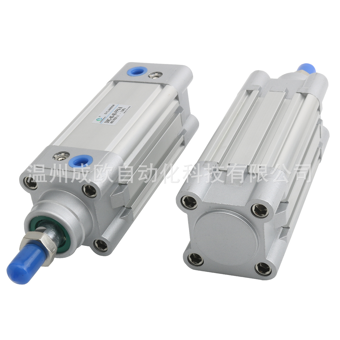 Standard cylinders: DNC-32-20-25-30-40-50-63-75-80-100-125-150-200-PPV-A details Picture